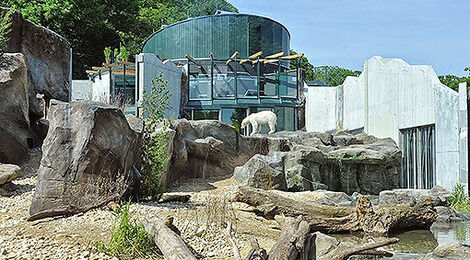 Foto_Tiergarten_Scho_nbrunn_Jutta_Kirchner