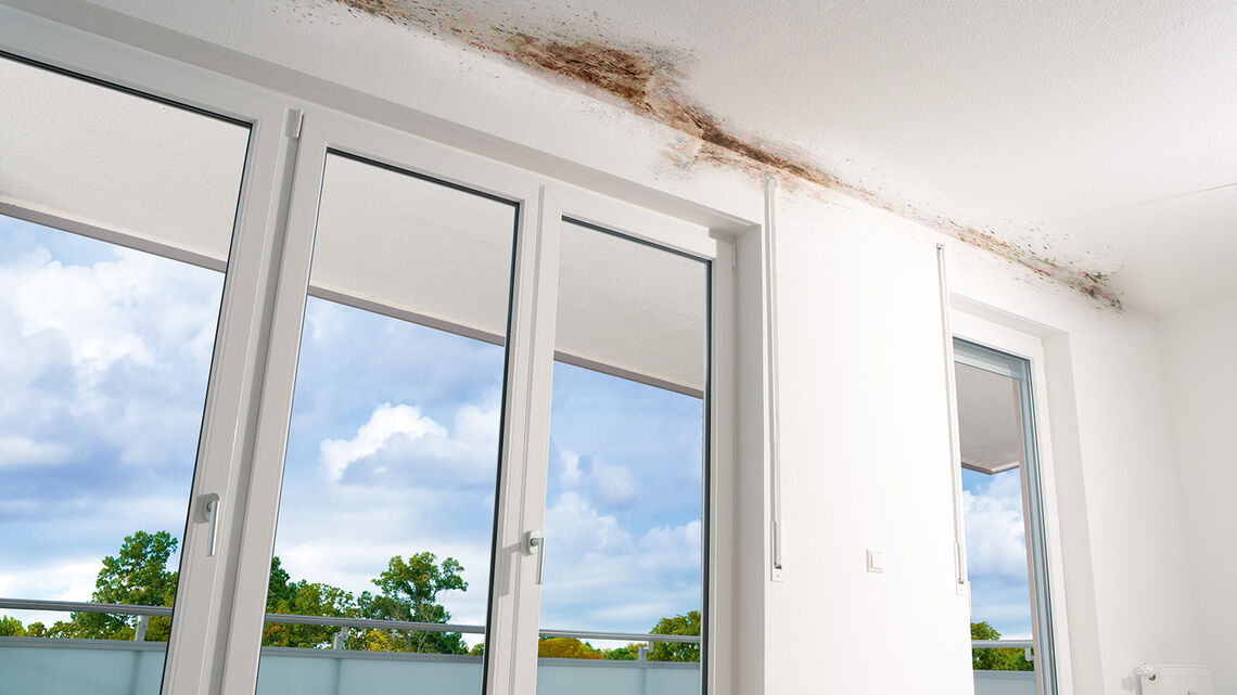 BIL_US_balkon-058-Schimmel_16z9_FHD.jpg BIL_US_balkon-058-Schimmel_16z9_FHD.jpg