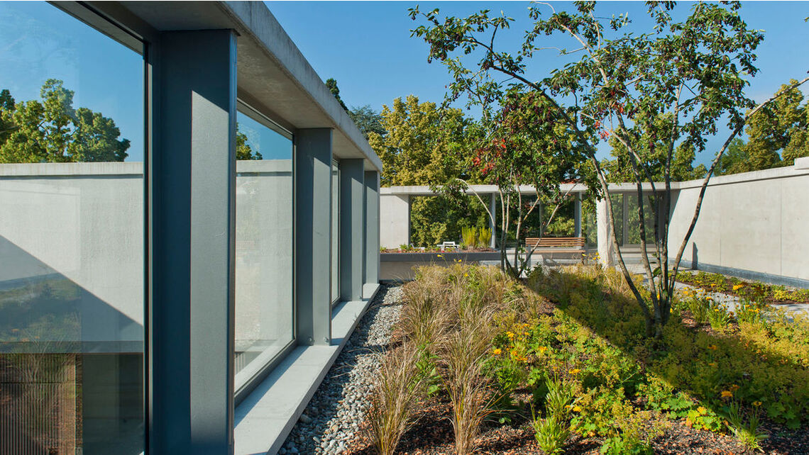 Der Dachgarten Der Dachgarten