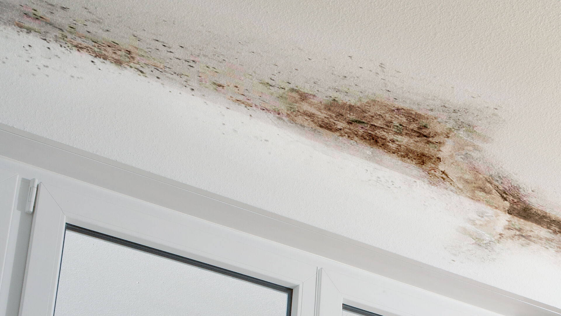 220596_Infbl_digital_Building Regulation changes_GB_Mould avoidance.jpg