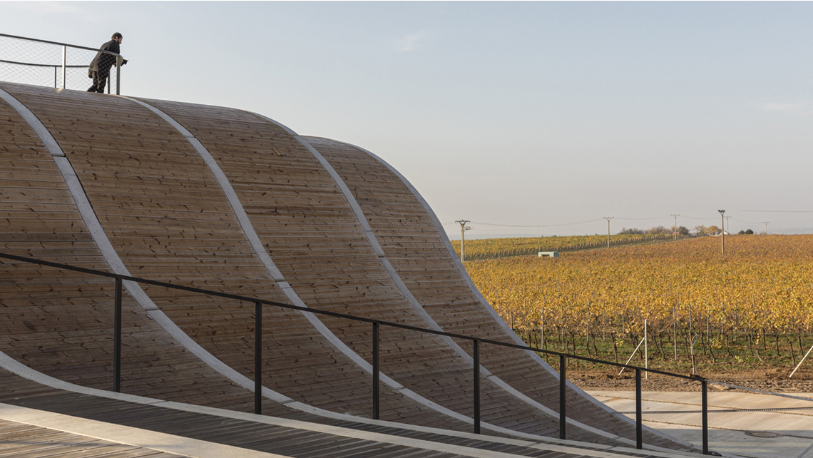 Vypadá to na dobrý rok Vypadá to na dobrý rok