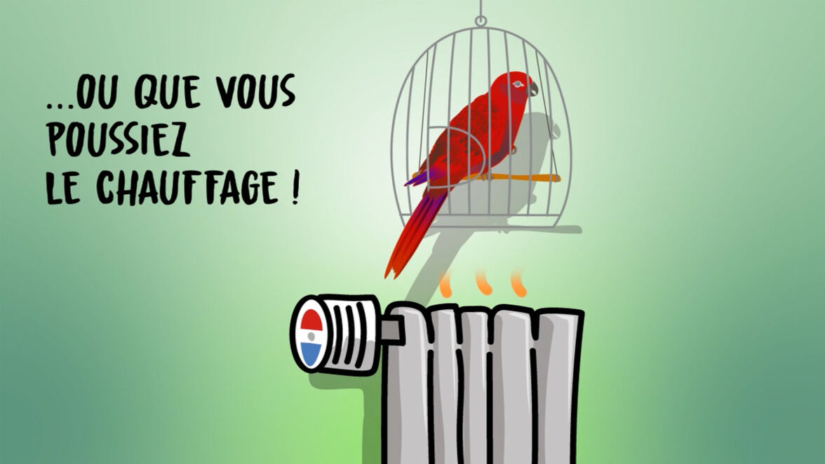 Série « Une enveloppe homogène pour un bâti sain et durable. »