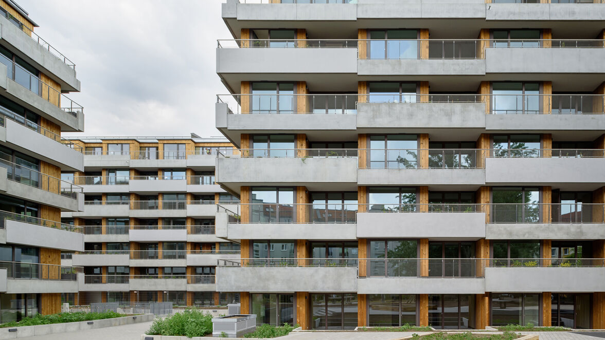 Das Projekt „immergrün“ umfasst den Neubau von sechs Stadthäusern im Berliner Bezirk Pankow.