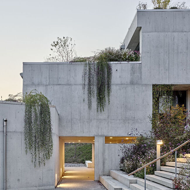 BIL_NEWS_Ref Sommerhalde2_16z9_FHD_21RL.jpg