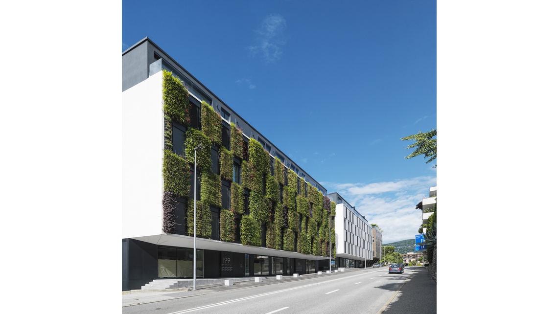 LGss_6595103.jpg LGss_6595103.jpg