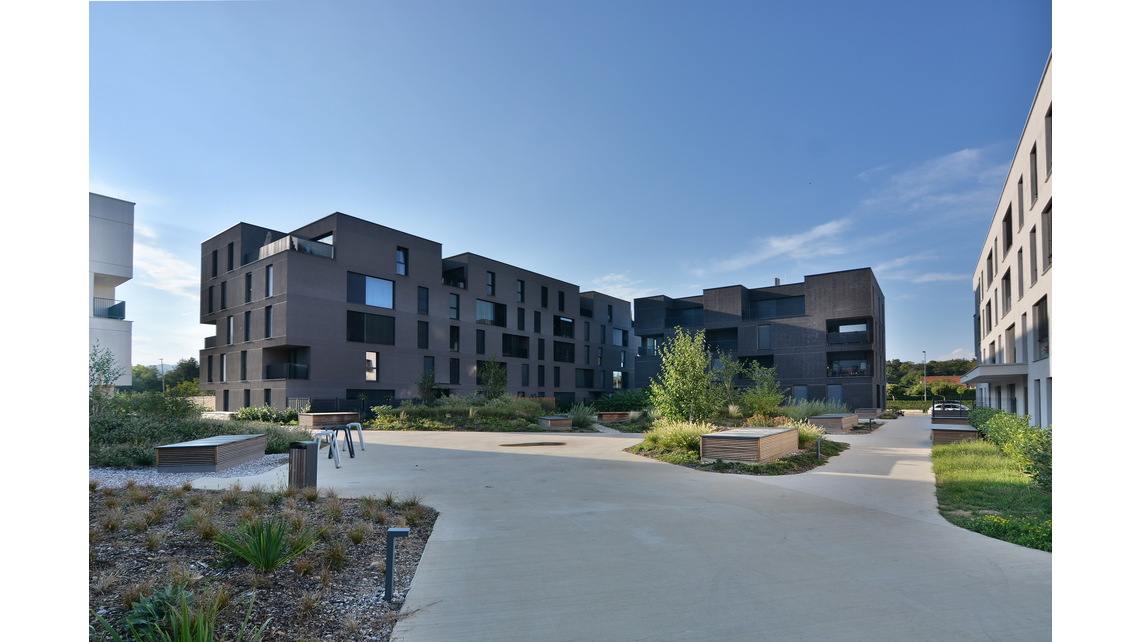 DSC_8193.JPG DSC_8193.JPG