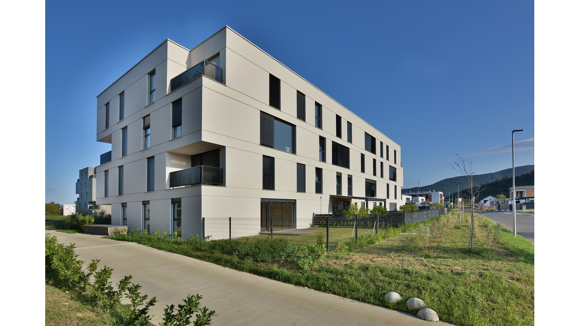 DSC_8217.JPG DSC_8217.JPG