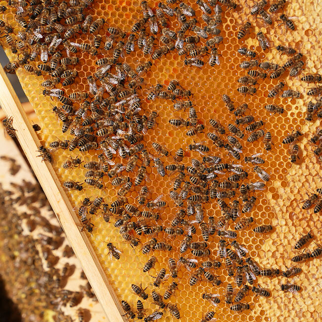 16 zu 9_Nachhaltigkeit2.jpg 16 zu 9_Nachhaltigkeit2.jpg